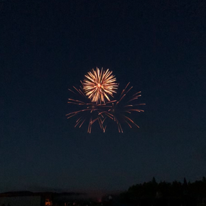 国产女人拳交重口
